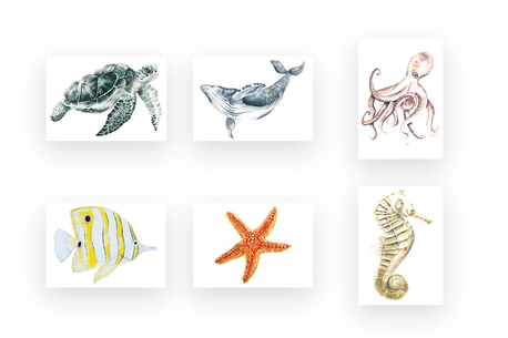 Ilustracja A5 Zwierzęta mórz i oceanów (1)