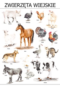 Plakat Zwierzęta wiejskie