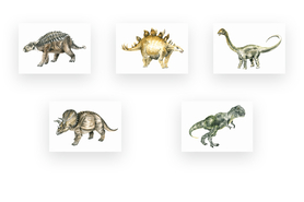 Ilustracja A5 Dinozaury