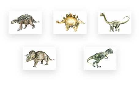 Ilustracja A5 Dinozaury (1)