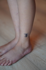 Tatuaże zmywalne Pajęczaki (4)