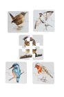 Puzzle 4-elementowe Ptaki (4)