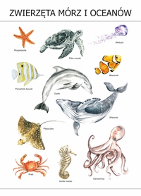 Plakat Zwierzęta mórz i oceanów